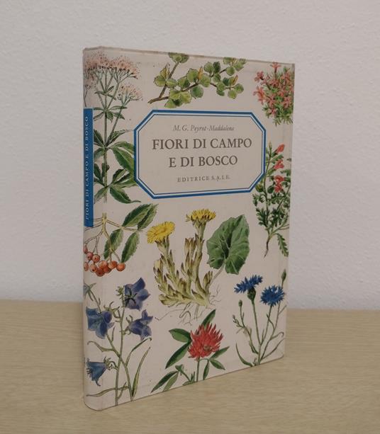 Fiori di campo e di bosco - Maria Grazia Peyrot-Maddalena - copertina