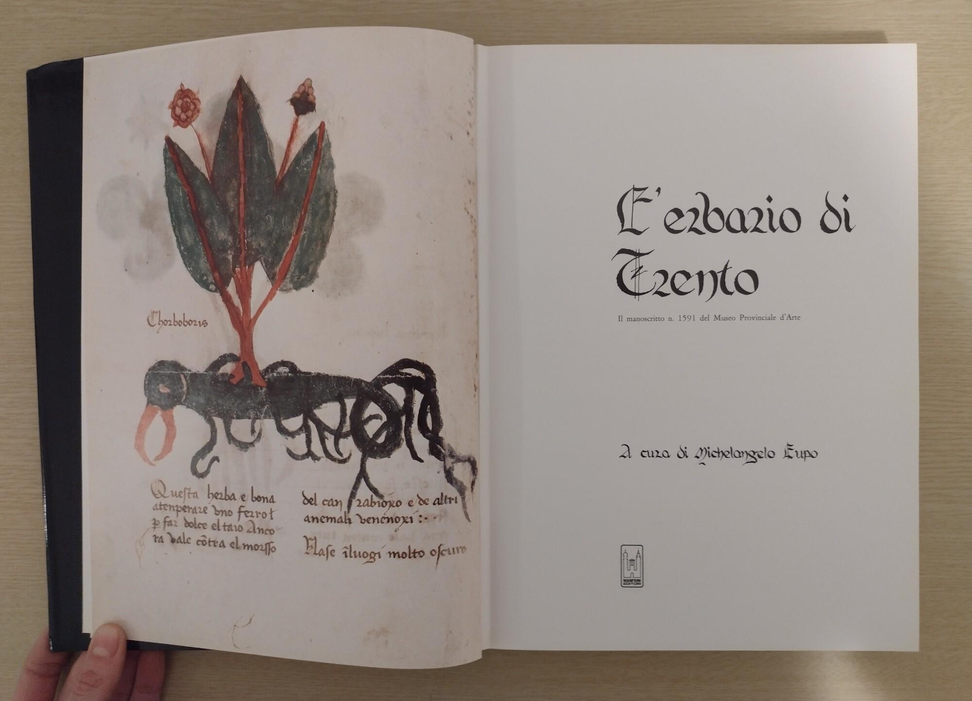 Libreria Volume Secondo