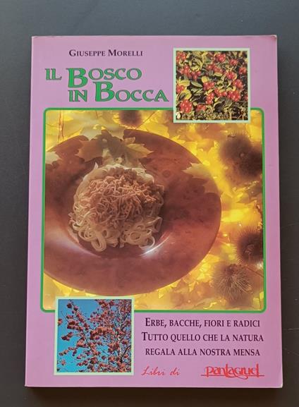 Il bosco in bocca - Giuseppe Morelli - copertina