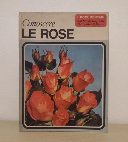 Conoscere le rose - Claudia Binelli - copertina