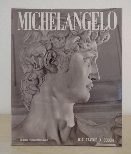 Michelangelo: pittore, scultore, architetto - Loretta Santini - copertina