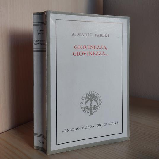 Giovinezza, giovinezza.. - A. M. Fabbri - copertina