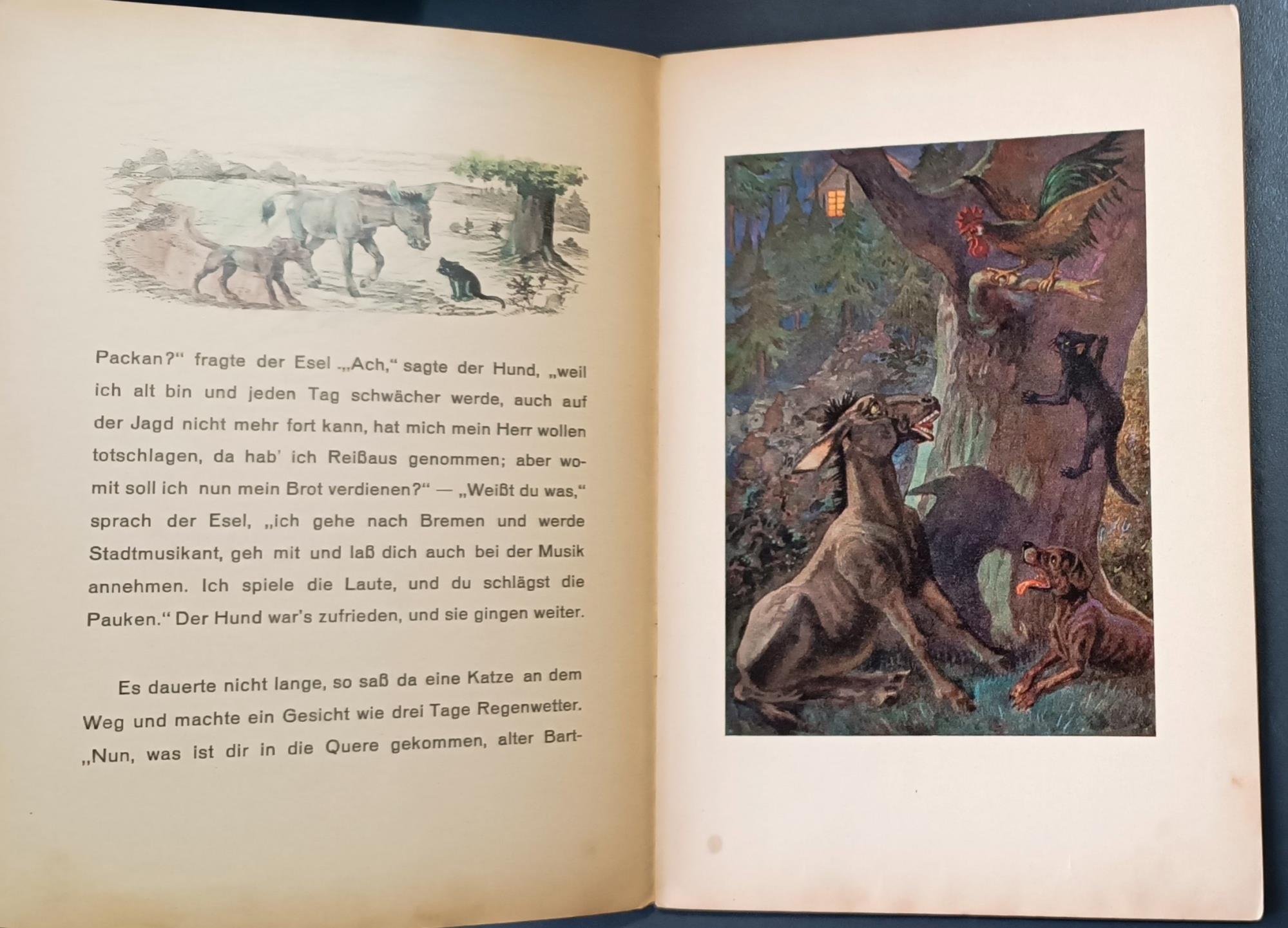 Libreria Volume Secondo