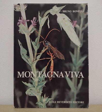 Montagna viva: Il mondo degli insetti in val di Fiemme (Trentino) - Bruno Bonelli - copertina