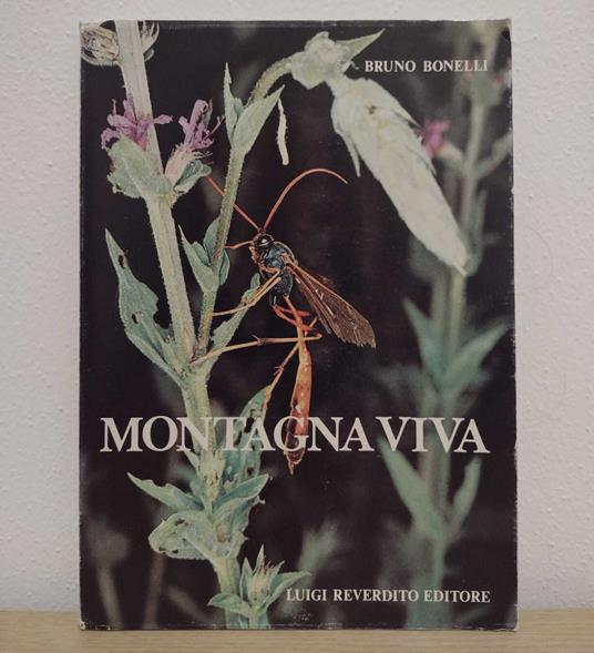 Montagna viva: Il mondo degli insetti in val di Fiemme (Trentino) - Bruno Bonelli - copertina