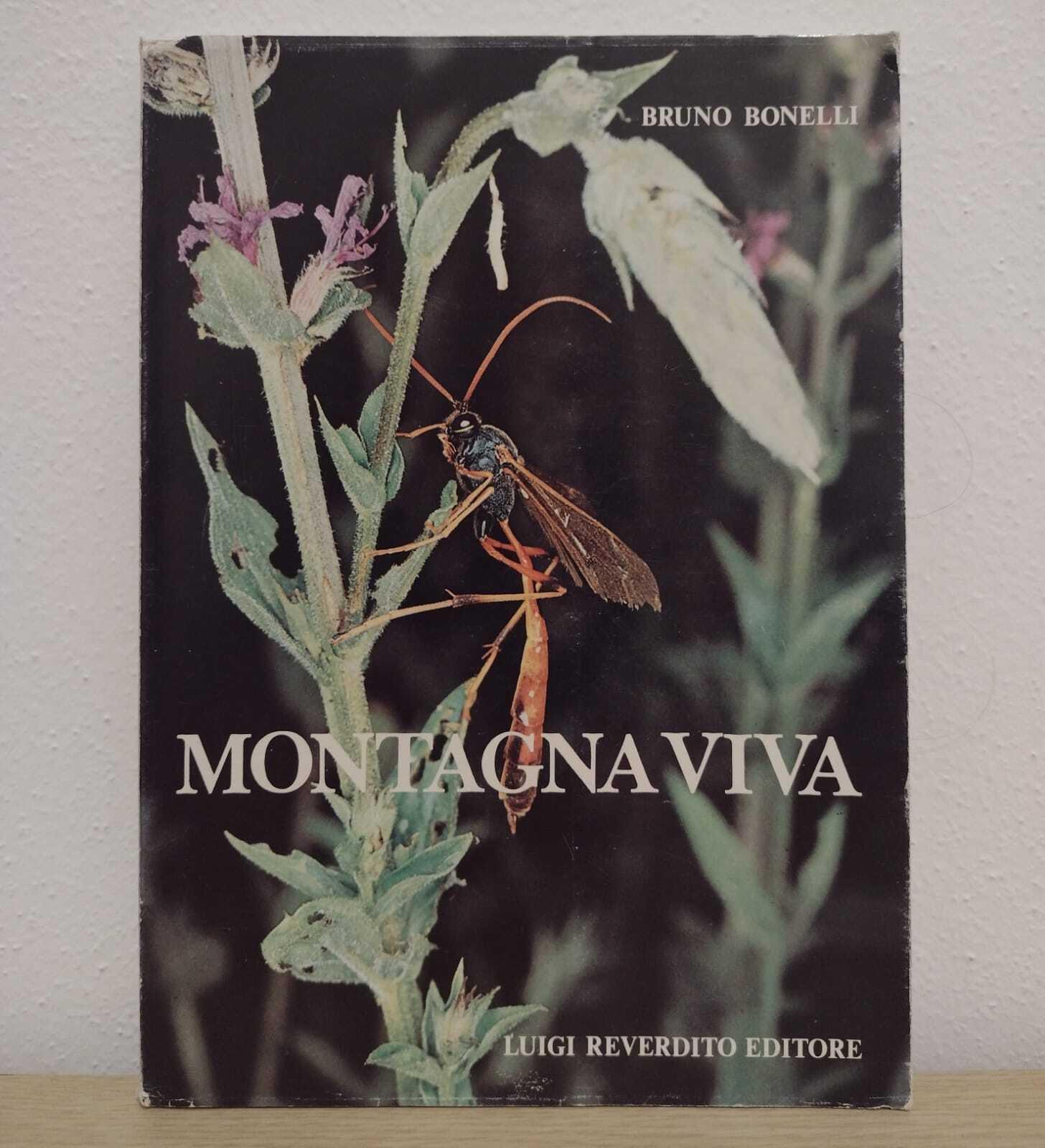 Libreria Volume Secondo