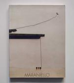Giuseppe Maraniello: Il diavolo è verde