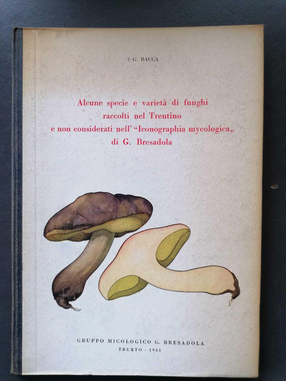 Libreria Volume Secondo