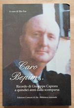 Caro Bepim...: Ricordo di Giuseppe Caprara a quindici anni dalla scomparsa. Saggi, lettere, poesie, contributi, testimonianze
