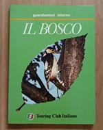 Il bosco