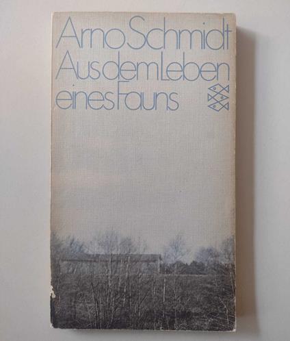 Aus dem Leben eines Fauns: Kurzroman - copertina