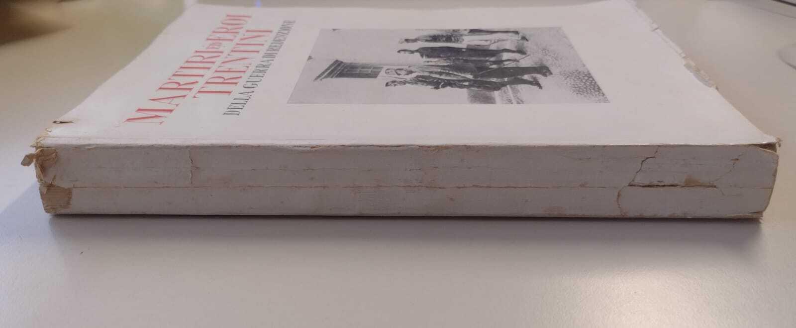 Martiri ed eroi trentini della guerra di redenzione