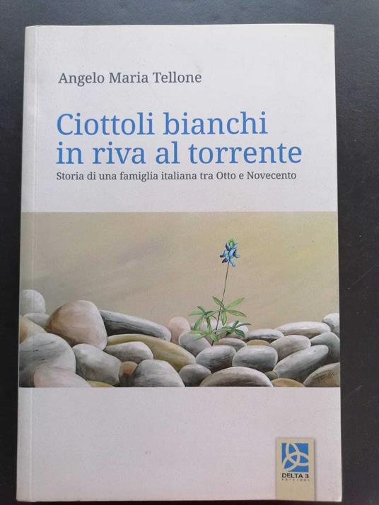 Ciottoli bianchi in riva al torrente: storia di una famiglia italiana tra Otto e Novecento - copertina