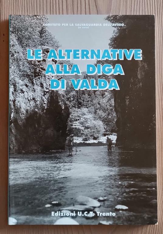 Le alternative alla diga di Valda per la salvaguardia di Trento: atti del Convegno - copertina