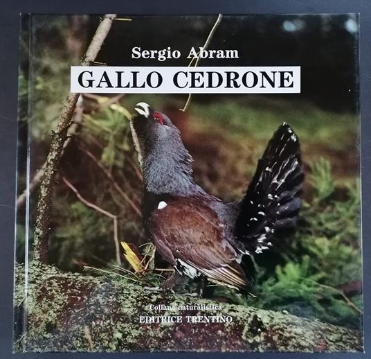 Gallo cedrone - Sergio Abram - copertina