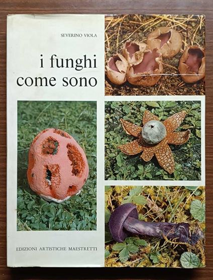I funghi come sono - Severino Viola - copertina