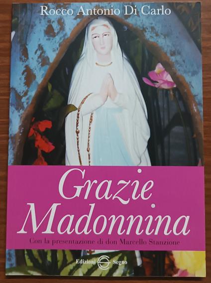 Grazie Madonnina - copertina