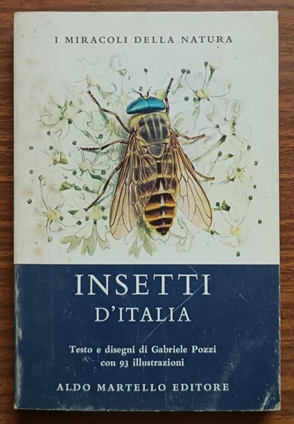 Insetti d'Italia - copertina