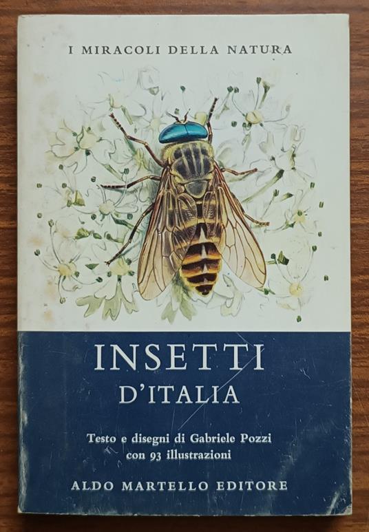 Insetti d'Italia - copertina