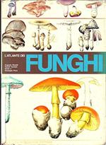 Manuali - L'Atlante Dei Funghi - Rinaldi / Tyndalo / Pace - Mondadori N