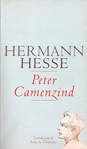 Peter camenzind - copertina
