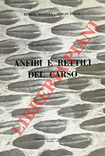 Anfibi e rettili del Carso