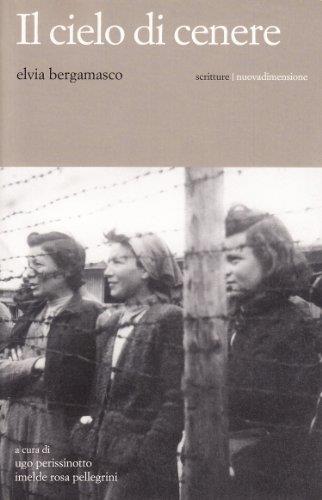 Il cielo di cenere - copertina