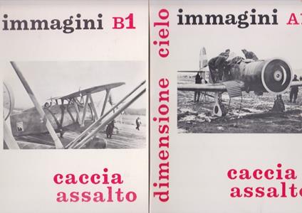 dimensione cielo CACCIA E ASSALTO aviazione immagini a1 b1 bizzarri - copertina