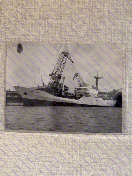 foto nave ship ALBACORA cantieri navali venezia - copertina