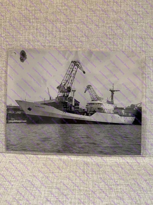 foto nave ship ALBACORA cantieri navali venezia - copertina