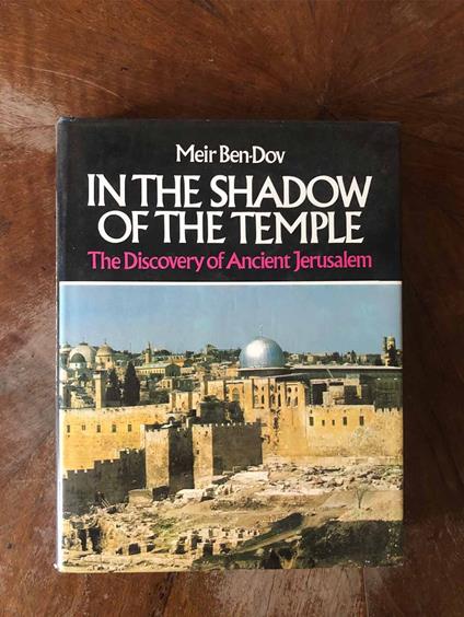 In the shadow of the temple the discovery of ancient Jerusalem - copertina