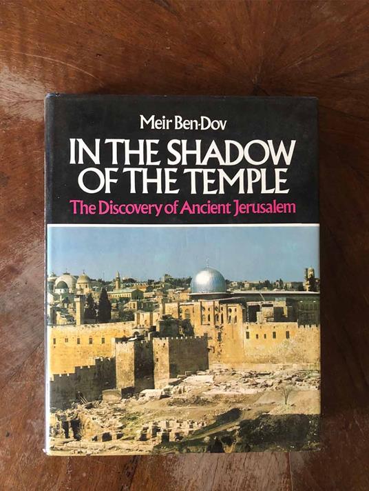 In the shadow of the temple the discovery of ancient Jerusalem - copertina