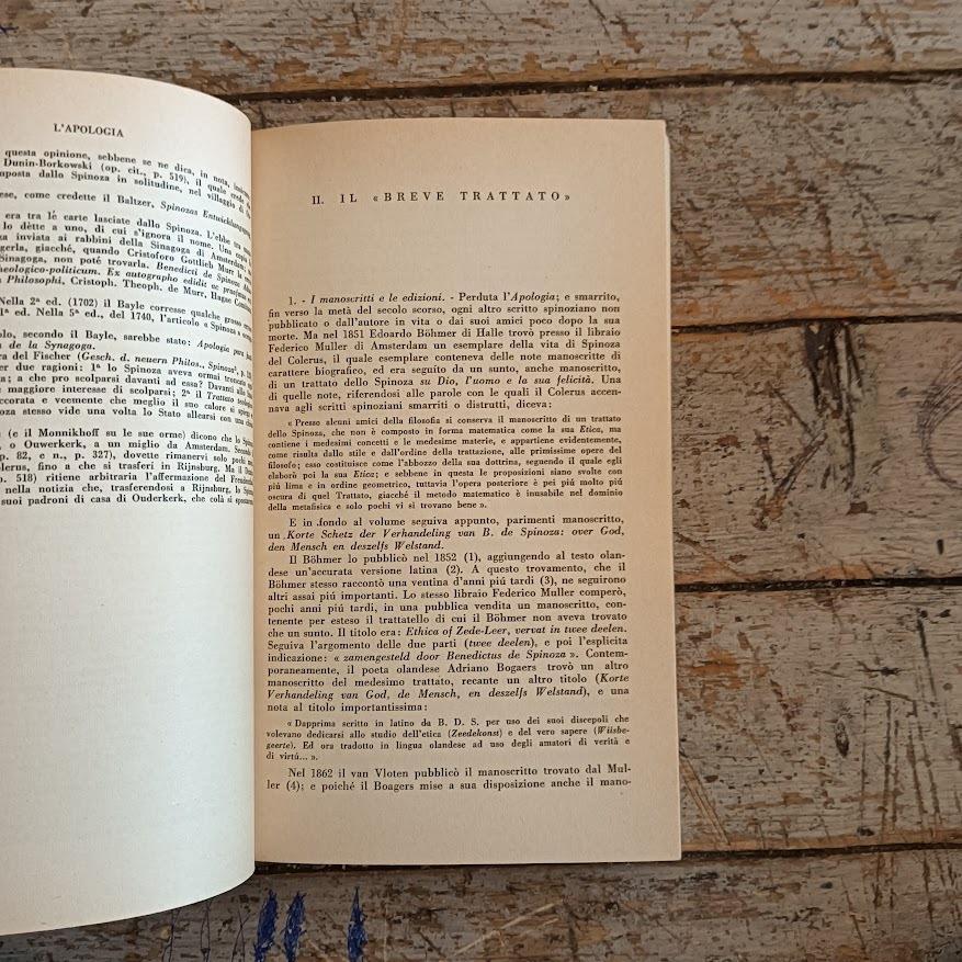 l pensiero di Spinoza