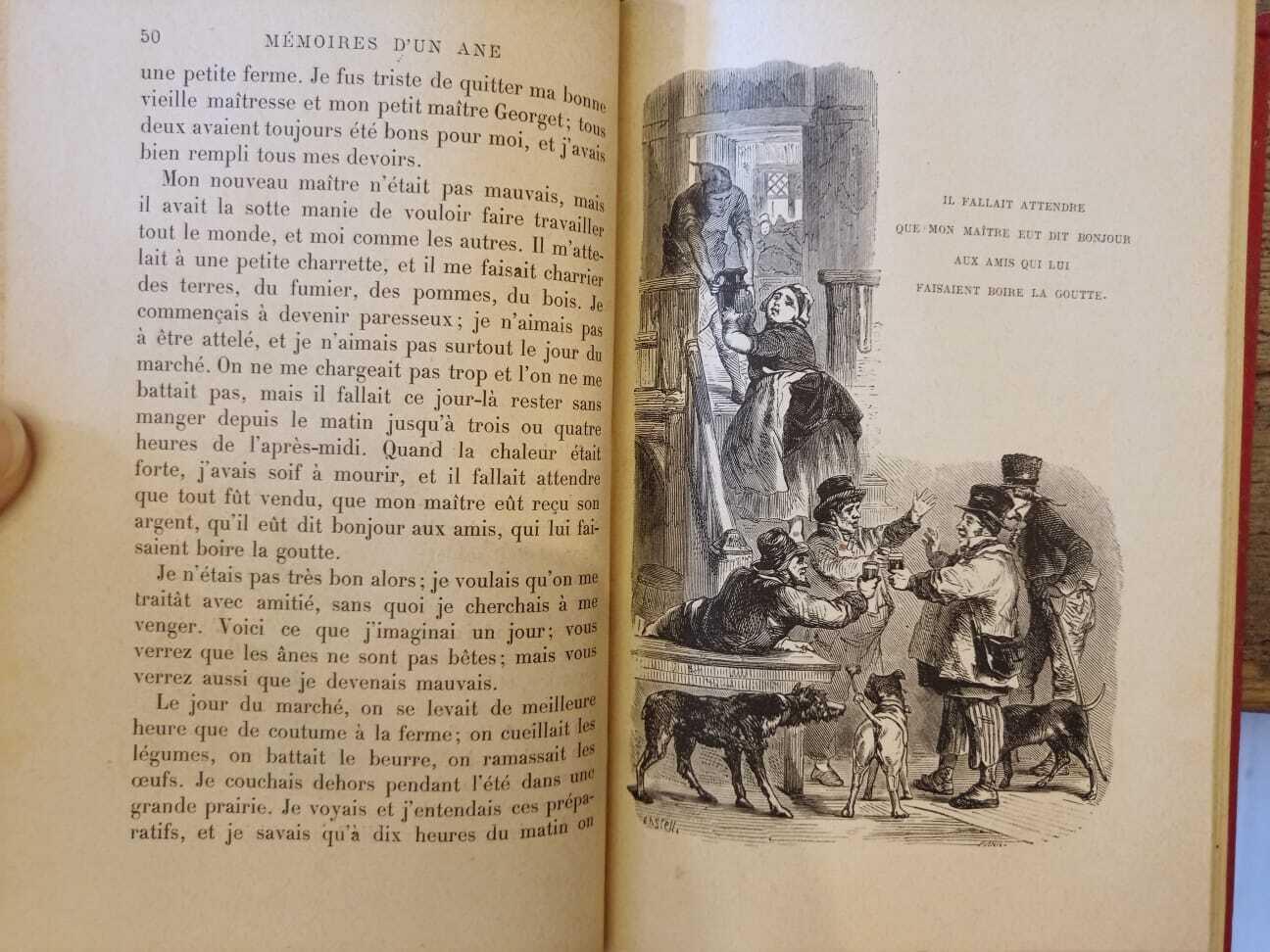 Libreria Catap Macerata