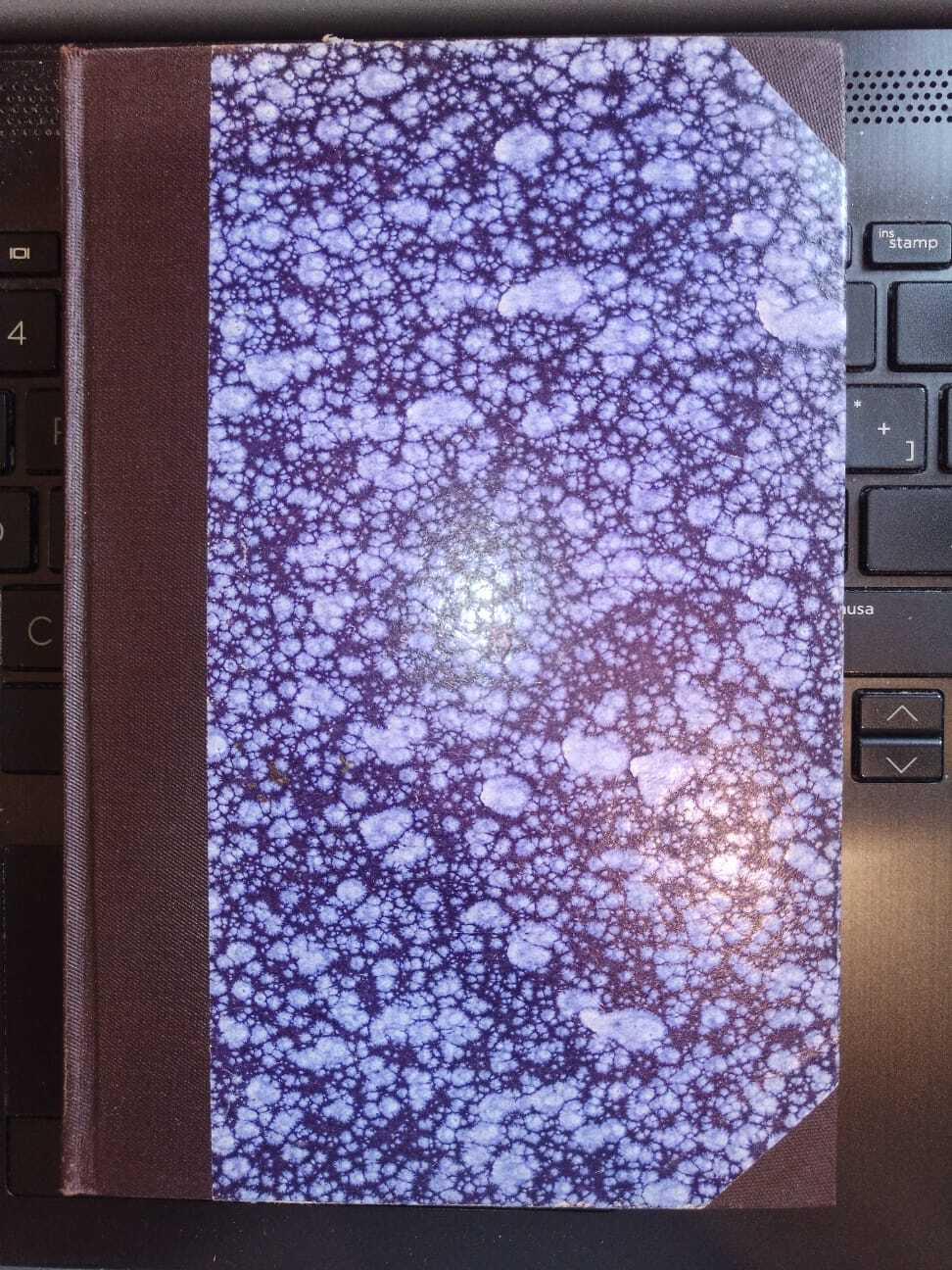 Il mistero del drago