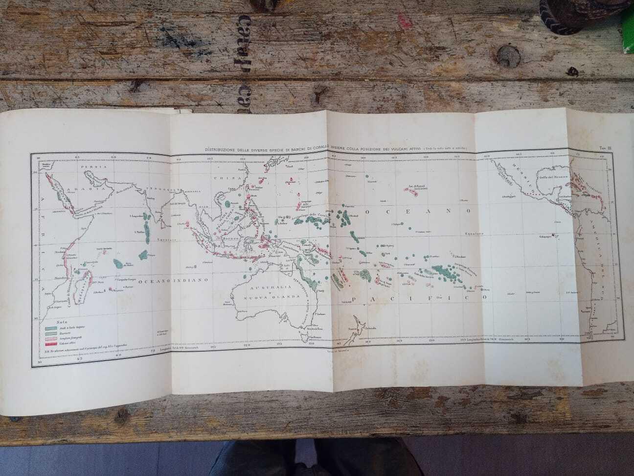 Sulla struttura e distribuzione dei banchi di corallo delle isole madreporiche