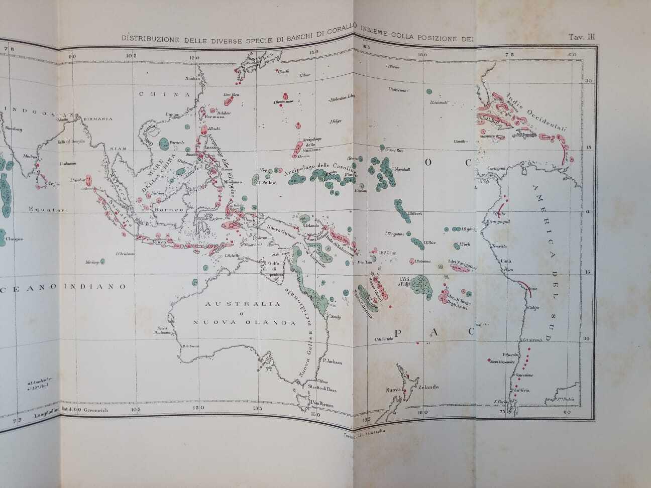 Sulla struttura e distribuzione dei banchi di corallo delle isole madreporiche