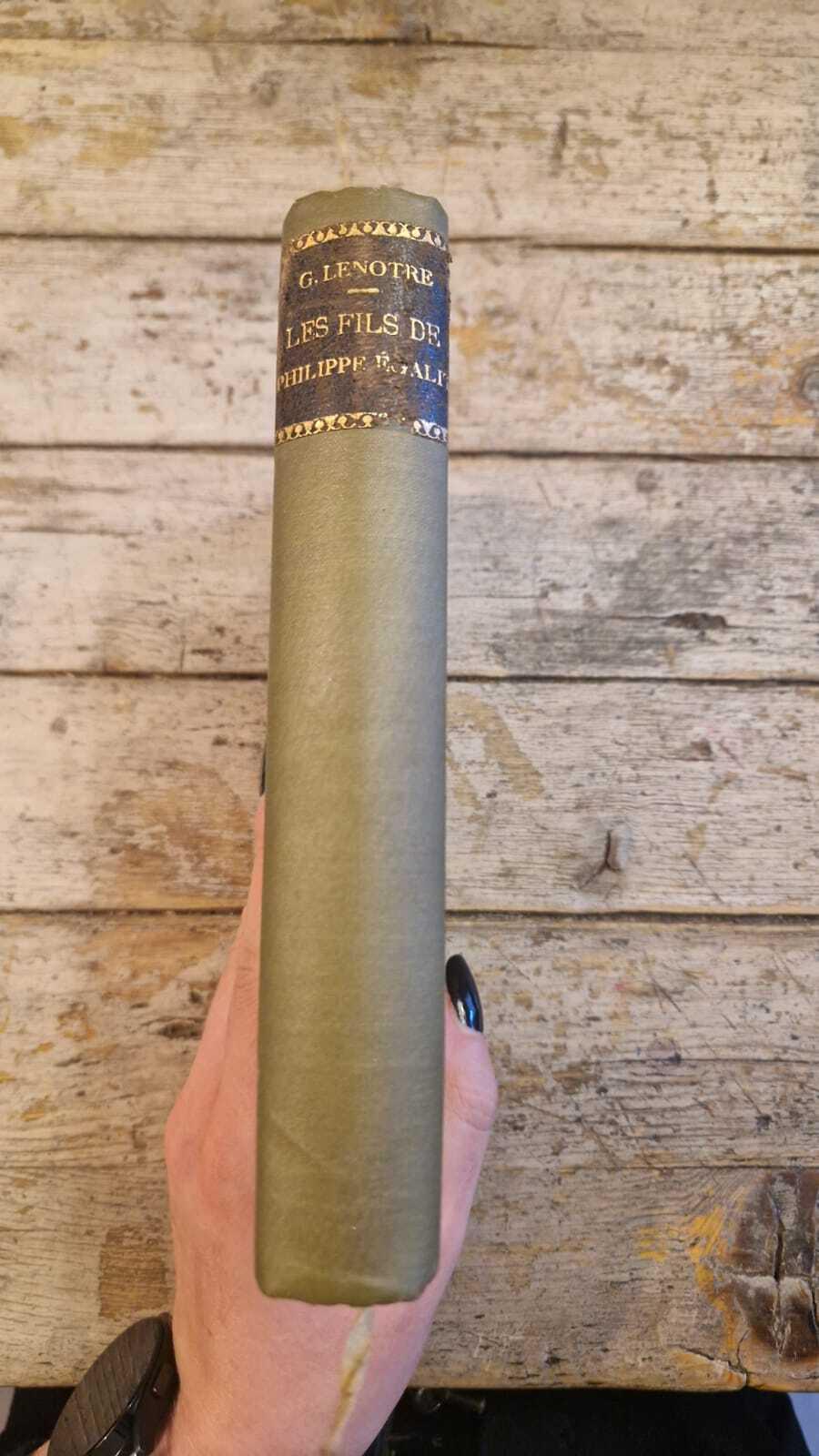 Les Fils de Philippe-Égalité pendant la Terreur