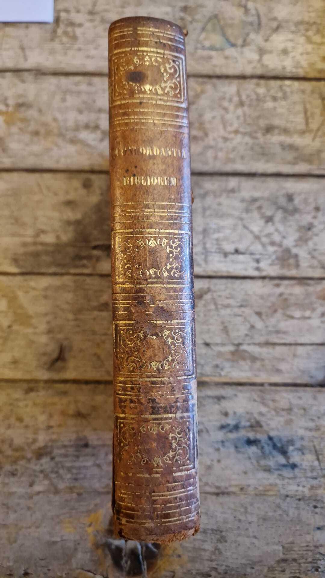 Libreria Catap Macerata