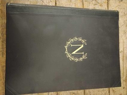 Napoleone - Giacomo Pighini - copertina