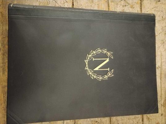 Napoleone - Giacomo Pighini - copertina