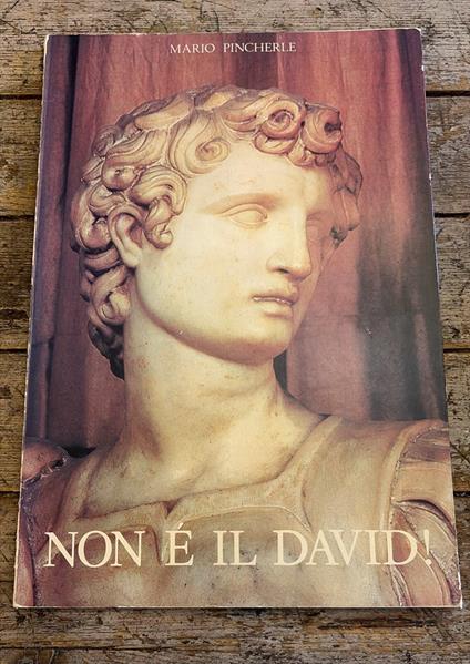 Non è il David - Mario Pincherle - copertina