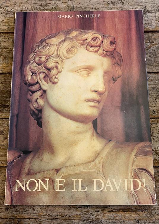 Non è il David - Mario Pincherle - copertina