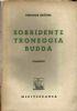 Sorridente troneggia Budda - copertina