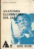 Anatomia elementare del Jazz - copertina