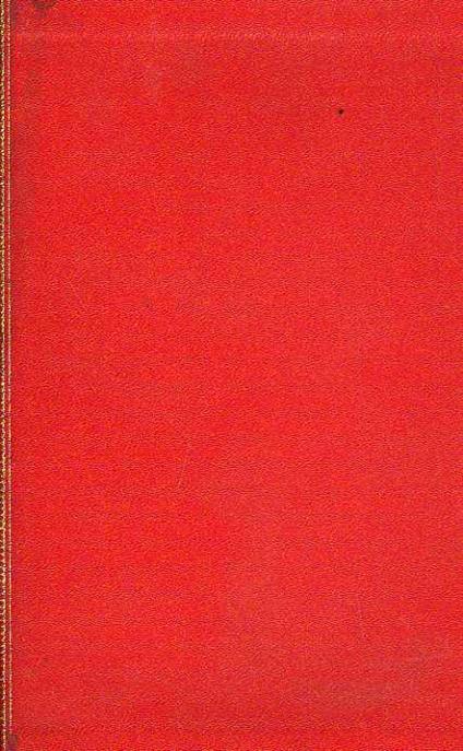 Tappeti d'Occidente - Michele Campana - copertina