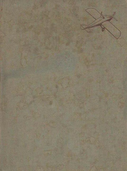 Il falco - Olga Visentini - copertina