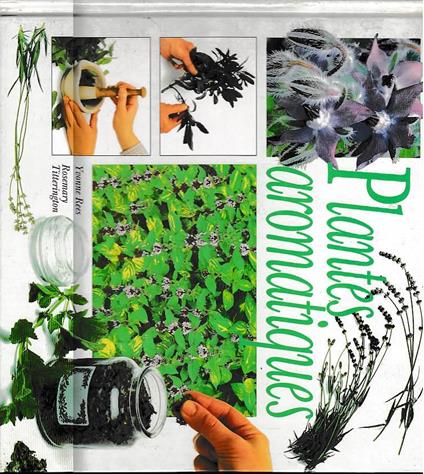 Plantes Aromatiques - copertina