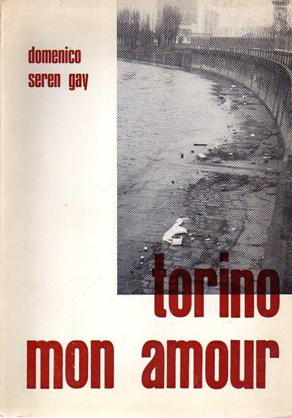 Torino mon amour - copertina