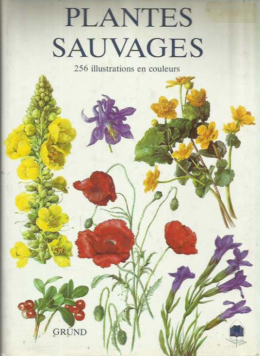 Plantes sauvages - copertina